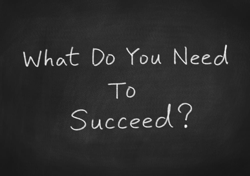 What Do You Need to Succeed?