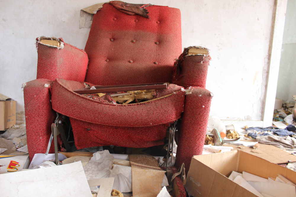 Rentals – How can landlords minimise damage to the property?