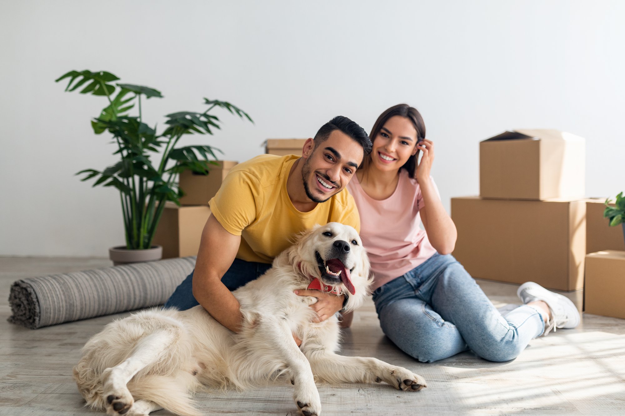 Renting with Pets Under the Renters Reform Bill